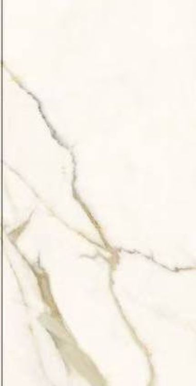 Time Dorado Matte 12 x 24